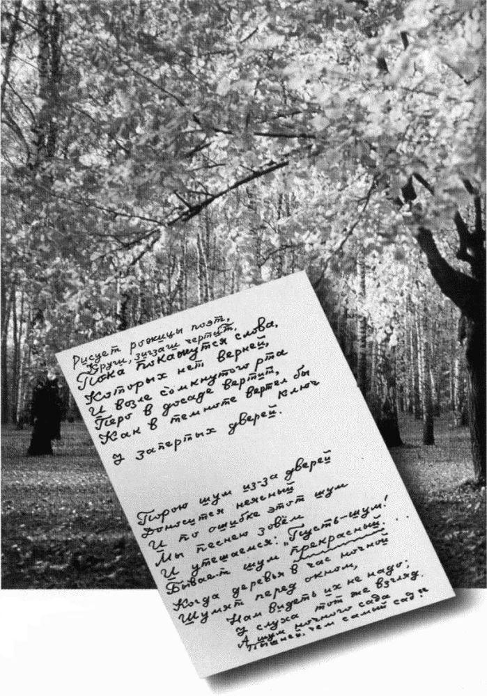 Мяч, оставшийся в небе. Автобиографическая проза. Стихи i_065.jpg