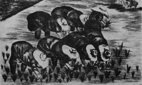 Всеобщая история искусств в шести томах. Том 6. Книга 1 (илл.) _273.jpg