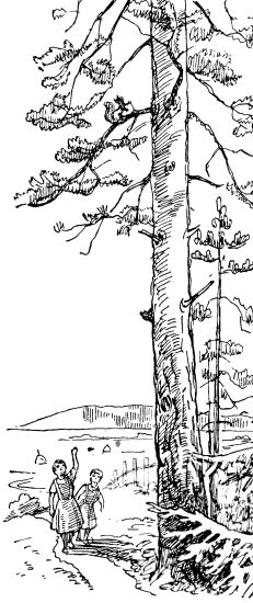 Повесть о двух сестрах и о волшебной стране Мерце i_048.png