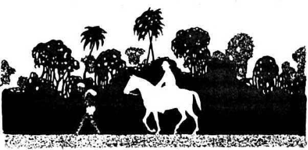 Заклинатель змей (сборник) i_016.jpg