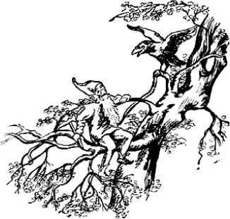Заклинатель змей (сборник) i_017.jpg