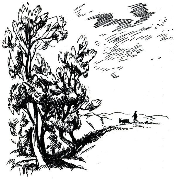 Завтра, послезавтра… i_003.jpg