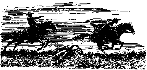 Вольные стрелки (сборник) pic_36.png