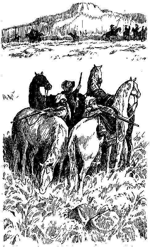 Вольные стрелки (сборник) pic_39.png
