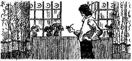 Приключения капитана Блада (сборник) pic_5.png