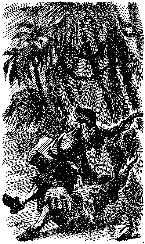 Приключения капитана Блада (сборник) pic_30.png