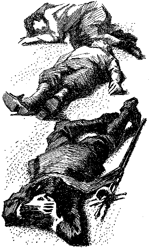 Приключения капитана Блада (сборник) pic_34.png