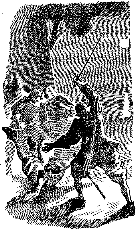 Приключения капитана Блада (сборник) pic_40.png