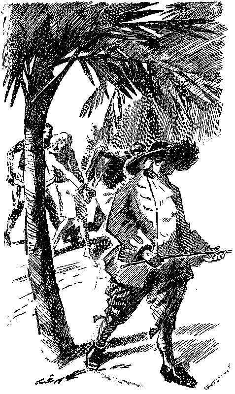 Приключения капитана Блада (сборник) pic_8.png