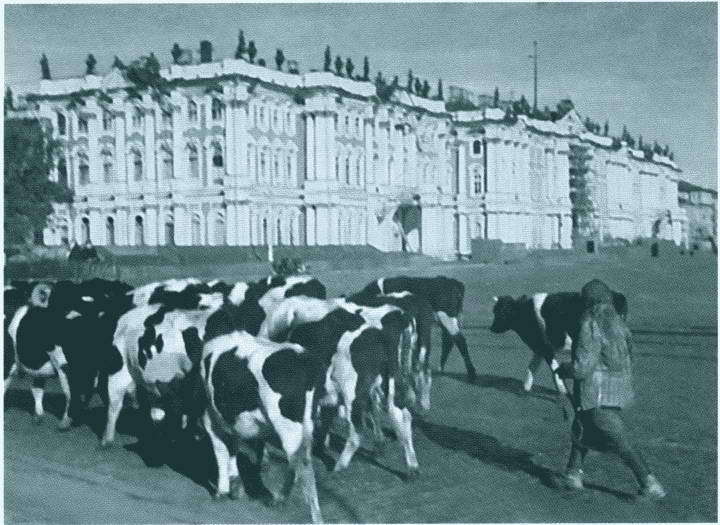 Повседневная жизнь блокадного Ленинграда i_014.jpg