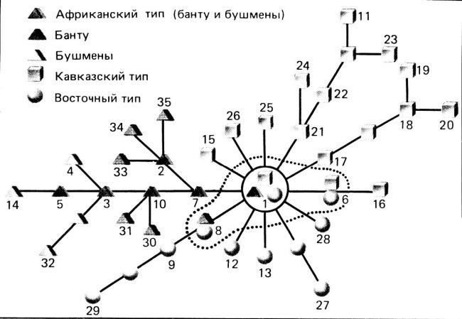 Происхождение человека. Инопланетный след _41.jpg
