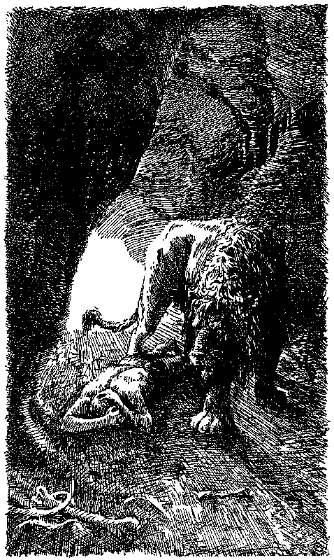 Борьба за огонь (сборник) pic_14.png