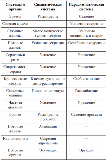 7 этажей взаимопонимания. Язык тела и образ мысли i_027.png