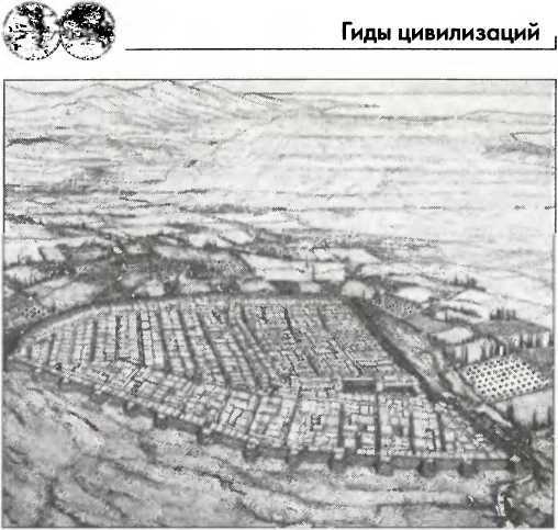 Галлы _62.jpg