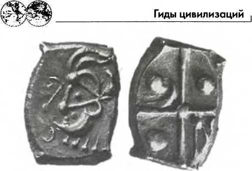 Галлы _87.jpg