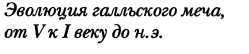 Галлы _91.jpg