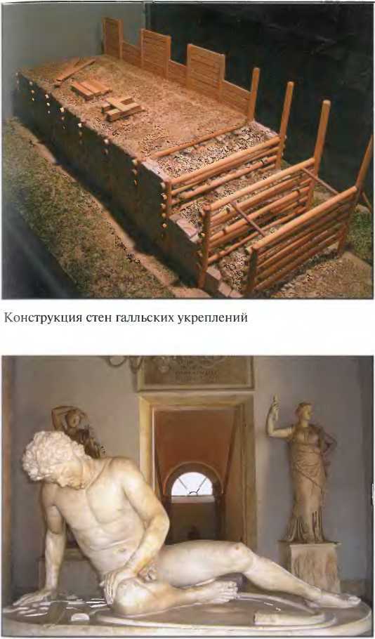 Галлы _118.jpg