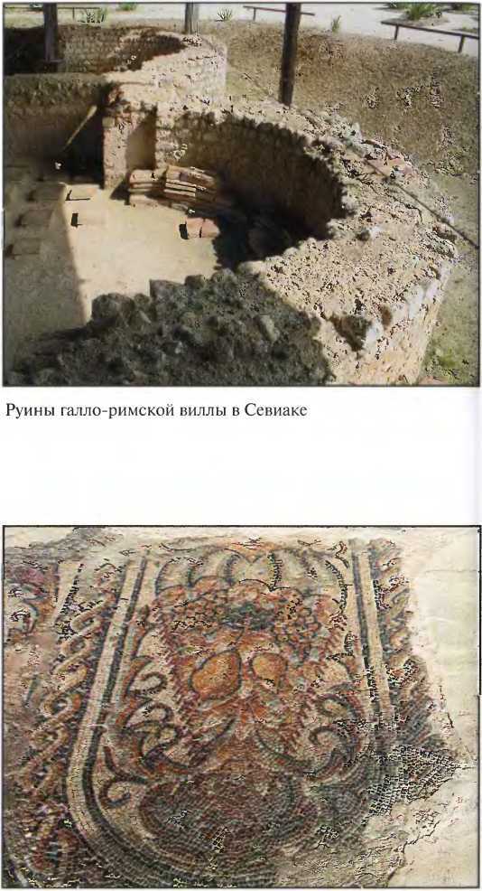Галлы _138.jpg