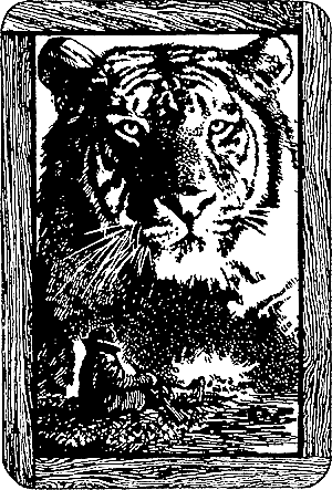 По ту сторону костра i_012.png