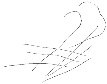 Двенадцать (илл. Анненкова) i_022.png
