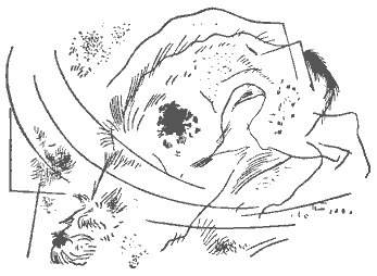 Двенадцать (илл. Анненкова) i_024.png