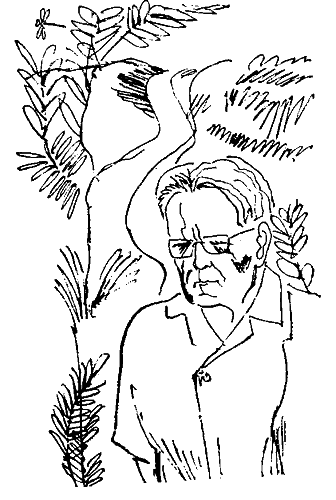 Силуэты i_005.png