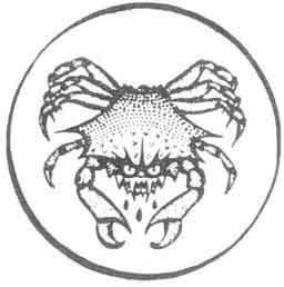 The Worm Ouroboros _22.jpg