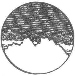 The Worm Ouroboros _23.jpg