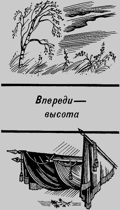 Сберегите цветы полевые img3.png