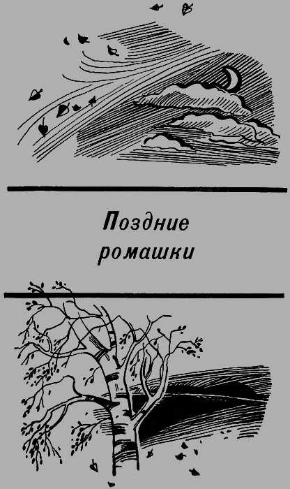 Сберегите цветы полевые img6.png