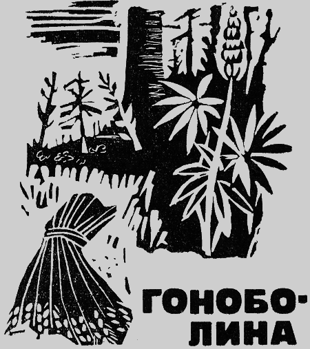 Иваны России img6.png