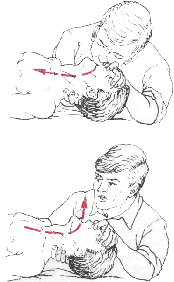 Грузовые автомобили. Охрана труда _3.jpg