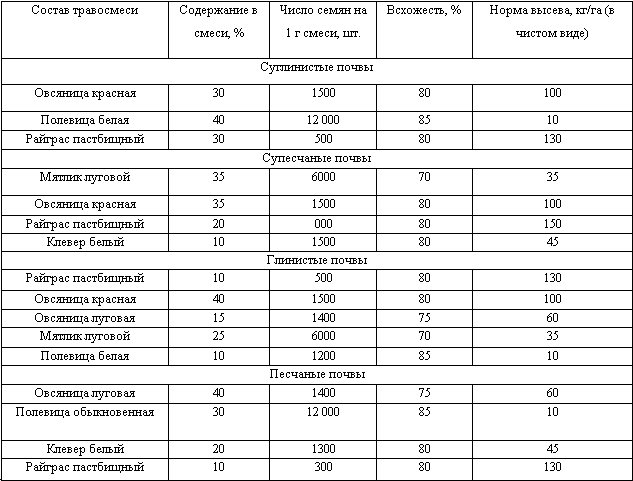 Цветники на дачном участке _7.jpg