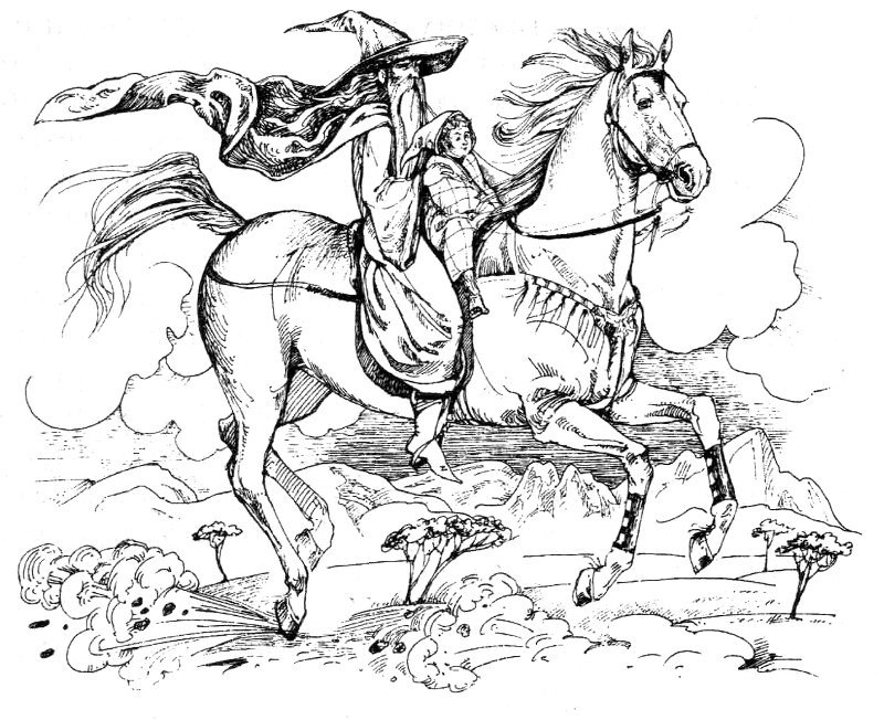 Дві Вежі i_013.jpg