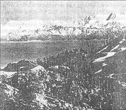 Феникс или возрожденный оккультизм i_031.jpg