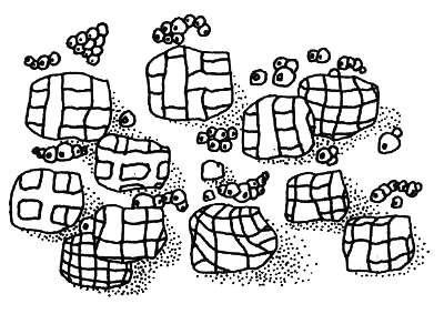 Червячок — Король Малинника i_008.png