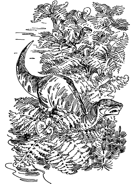 Краснокожая хищница i_002.png