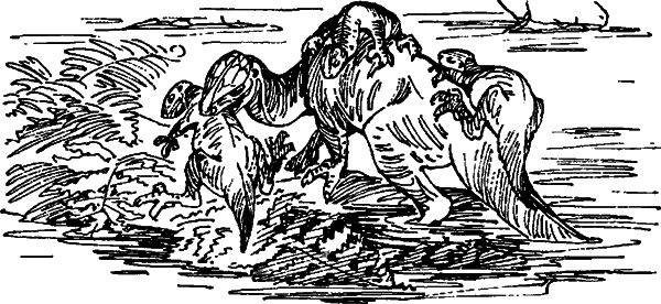 Краснокожая хищница i_025.png