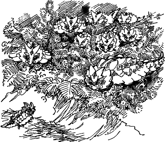 Краснокожая хищница i_030.png