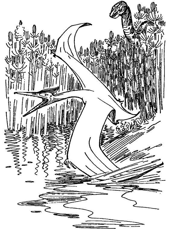 Краснокожая хищница i_047.png