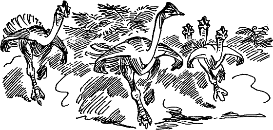 Краснокожая хищница i_049.png