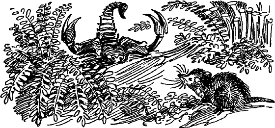 Краснокожая хищница i_056.png