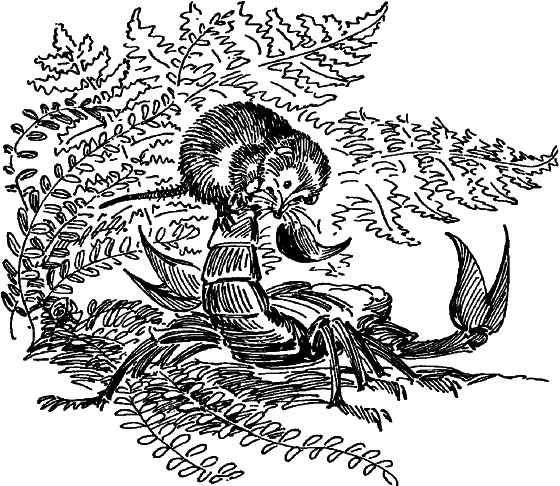 Краснокожая хищница i_057.png