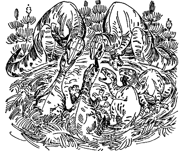 Краснокожая хищница i_010.png