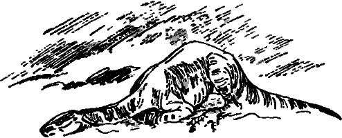 Краснокожая хищница i_084.png