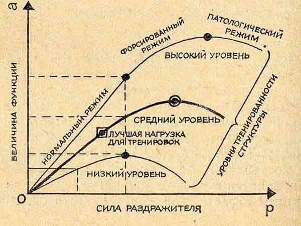 Книга о счастье и несчастьях. Дневник с воспоминаниями и отступлениями. Книга первая. id67391_if8dcec3262