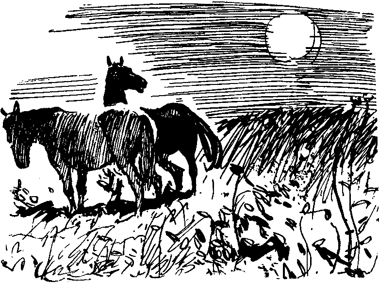 Юность разбойника i_012.png