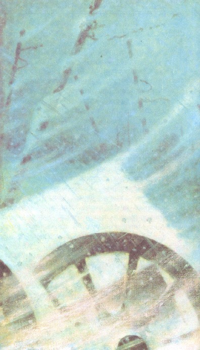 1812. Наполеон в России i_021.jpg