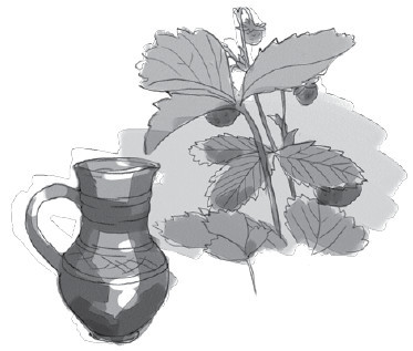Анатомия глупости i_016.jpg