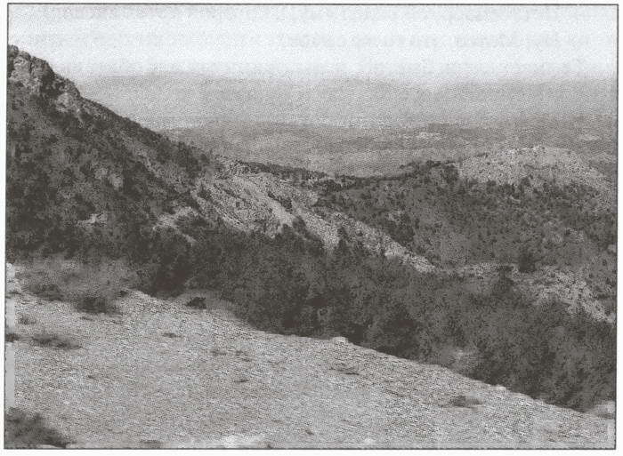 Альгамбра i_057.jpg